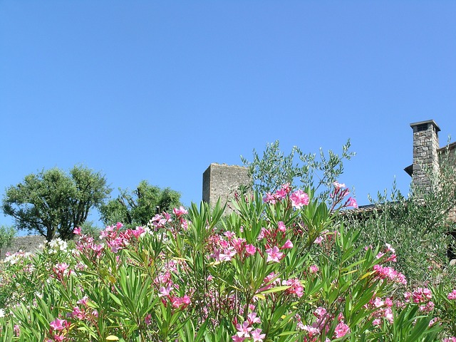 Itinerario di viaggio tra i 16 borghi più belli della provincia di Siena Itinerario di viaggio tra i 16 borghi più belli della provincia di Siena