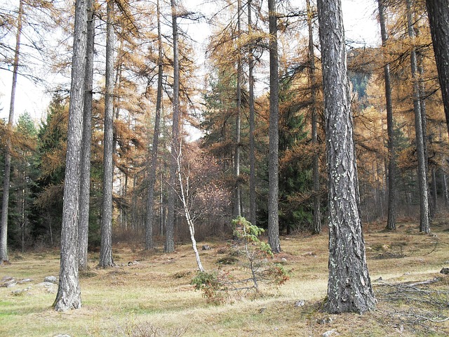Val di Fassa e Val di Fiemme valli per i buon gustai Val di Fassa e Val di Fiemme valli per i buon gustai