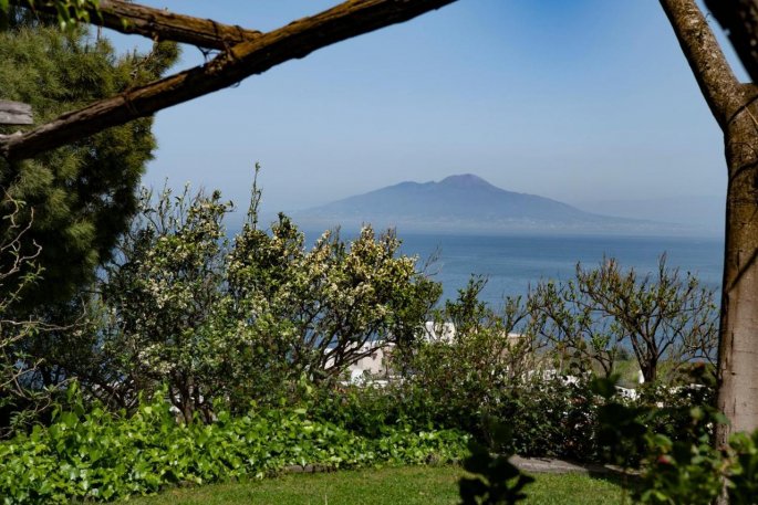 Ischia e Capri: ottimi vini d'eccellenza Ischia e Capri: ottimi vini d'eccellenza