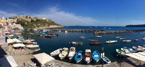 Ischia e Capri: ottimi vini d'eccellenza Ischia e Capri: ottimi vini d'eccellenza
