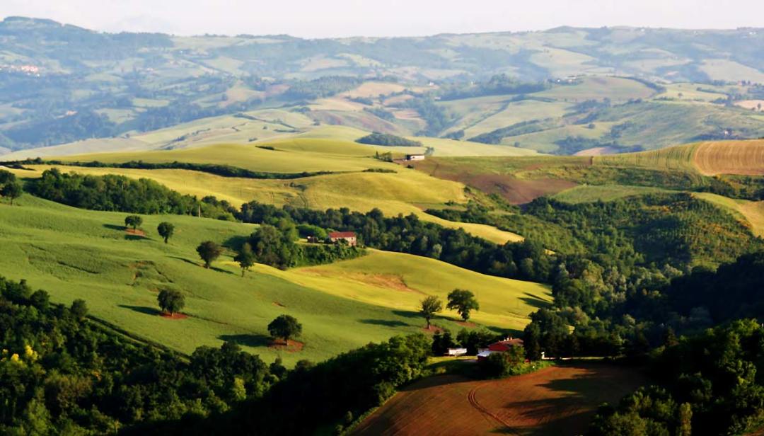 le marche panorama collinare