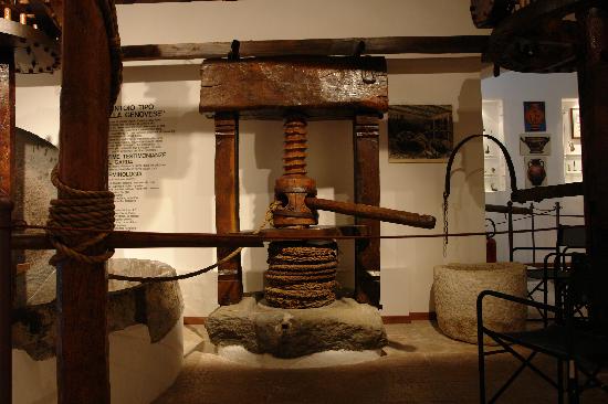 I 6 luoghi più belli da vedere sul Lago di Garda museo dell olio cisano