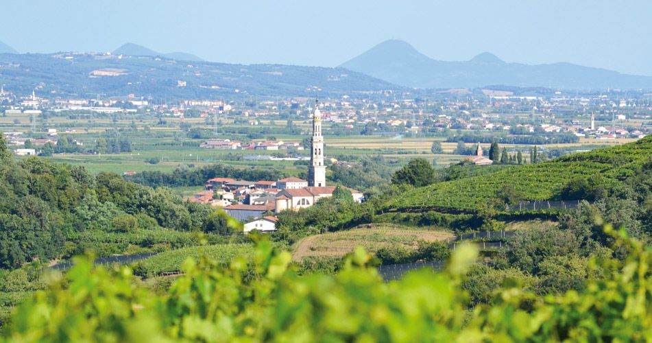 Strade del gusto in provincia di Verona stra del vino soave