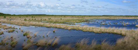 Oasi di Lago Salso Puglia