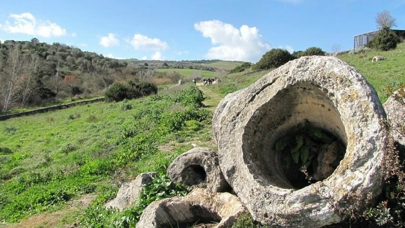 foresta pietrificata martis sardegna