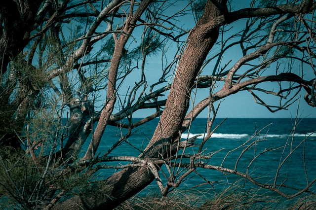 Visitare Ostuni e la Valle d'Itria: le 10 migliori cose da fare sea