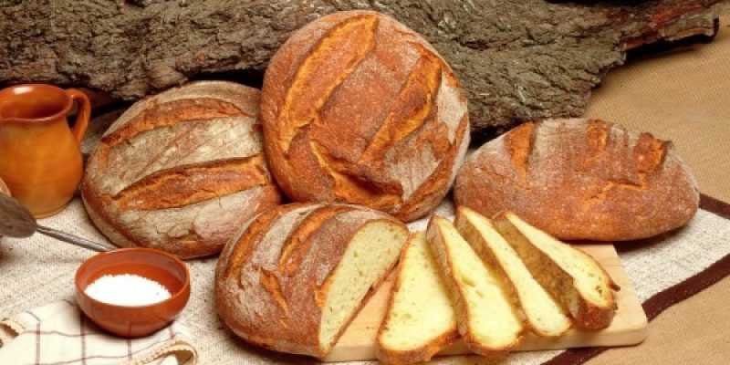 Cosa Vedere e dove mangiare ad Altamura la città del pane pane di altamura