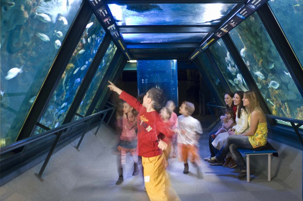 aquarium cattolica