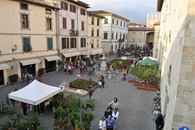 I dintorni di Lucca e i suoi borghi camaiore centro storico