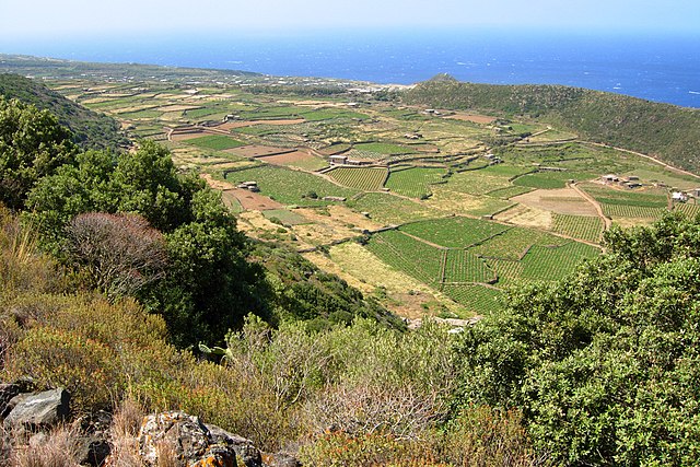 Scopriamo i sentieri più belli d'Italia px Piana di ghirlanda pantelleria