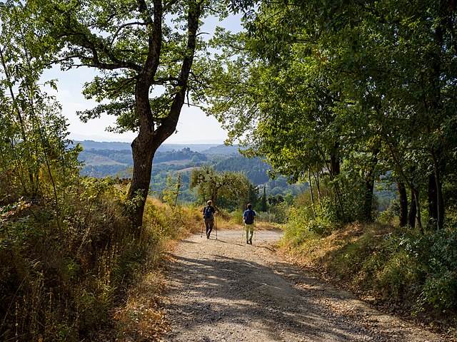 15 luoghi da visitare nei weekend di Maggio Via Francigena in Toscana da San Gimignano a Colle di Val dElsa viaggiatori