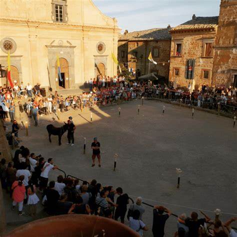 palio della tonna civita di bagnoregio