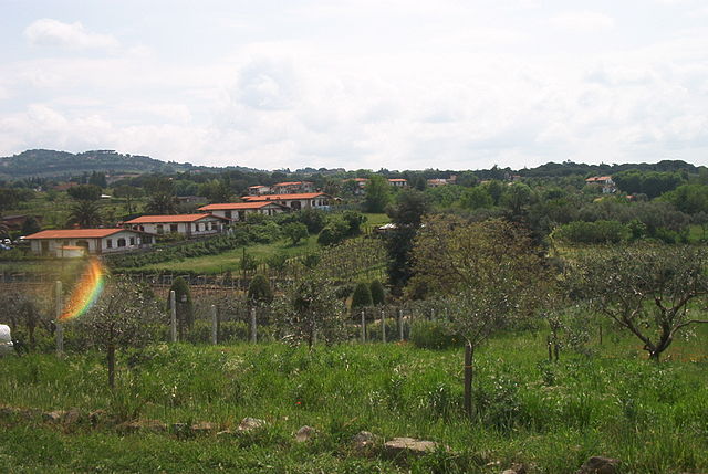 Itinerari tra storia e gusto nei Castelli Romani px Vigne del Sole
