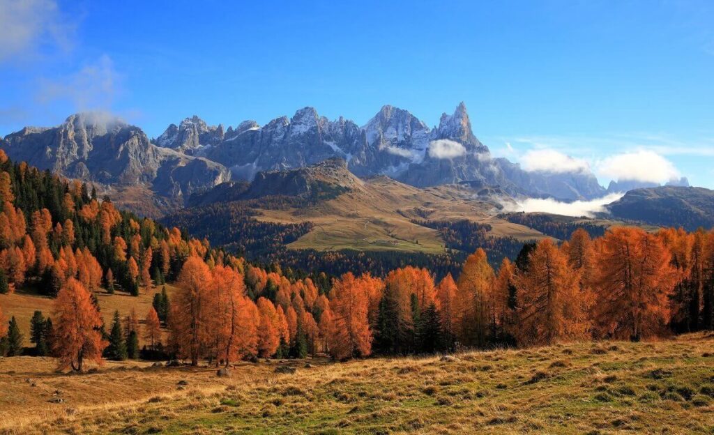 Foliage autunno valli trentino
