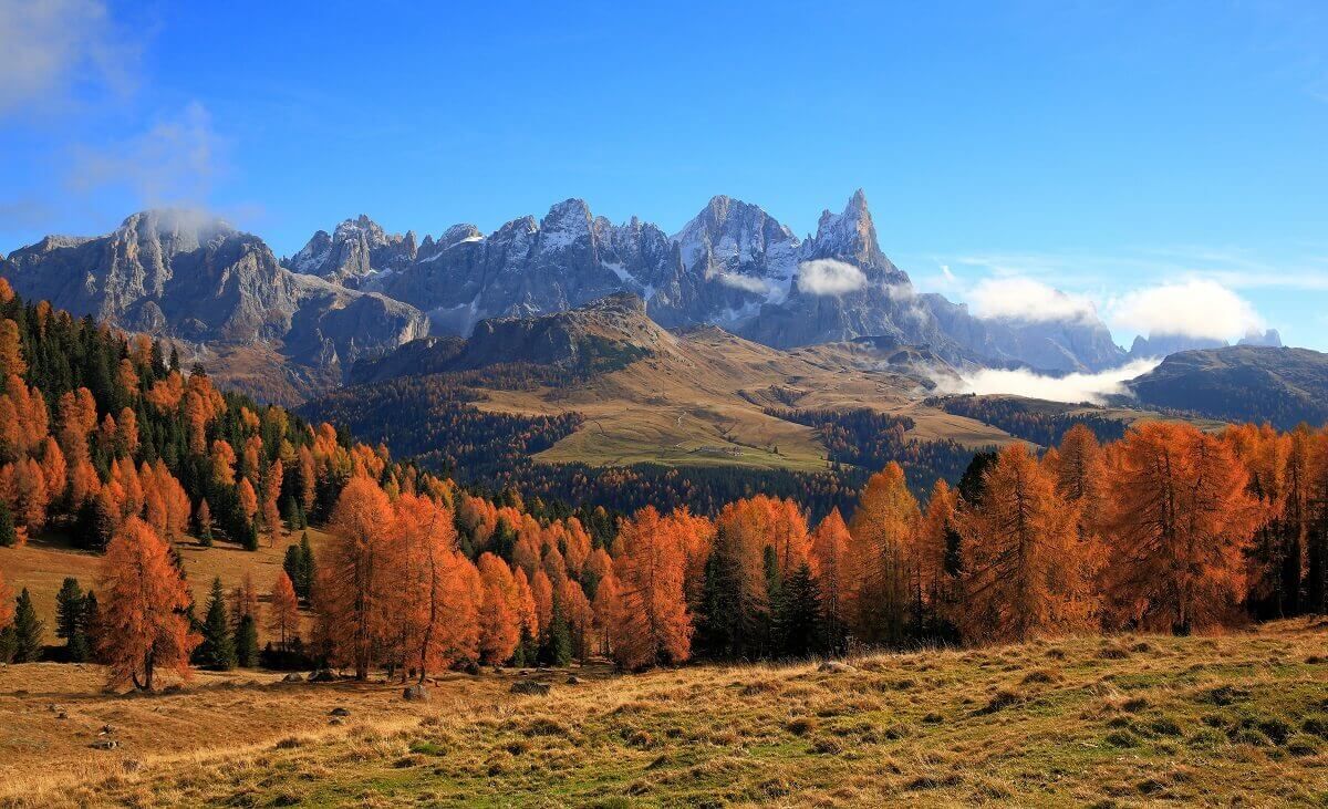 Foliage autunno valli trentino