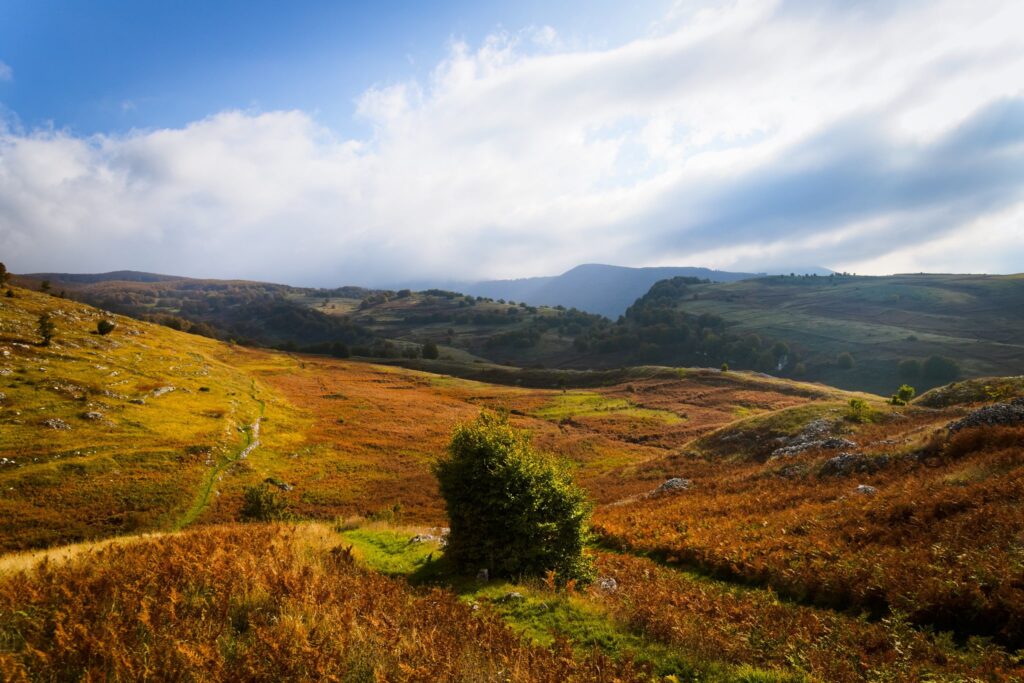 I 5 migliori posti dove scoprire la magia del Foliage in Italia foliage abruzzo majella