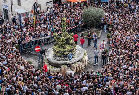 sagra dell uva marino
