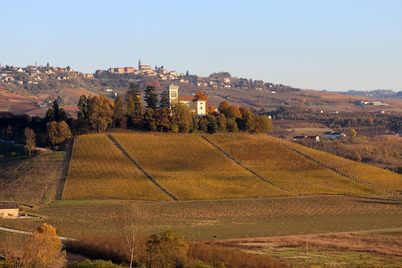 dintorni di Langhe Roero e Monferrato