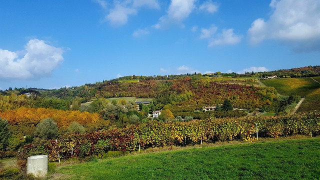 20 idee di viaggio per i weekend primaverili tra mare e collina in Italia monferrato dintorni di Langhe Roero