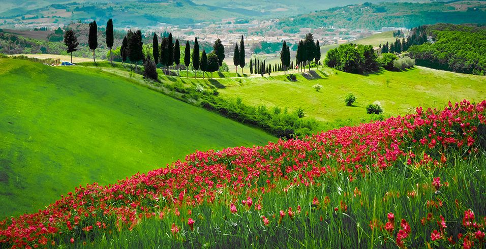 Colline toscane in primavera