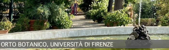 Testata UNIFI Nuova e