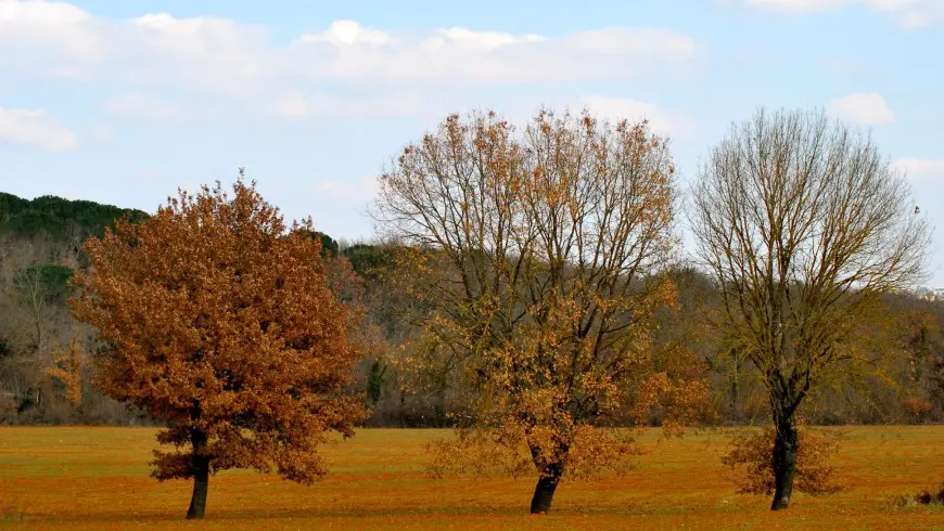 montagnola area protetta