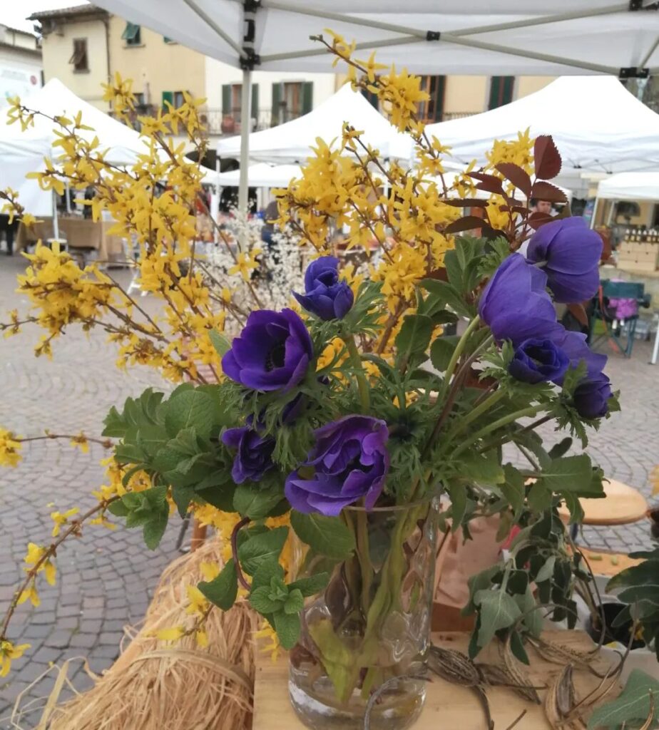 proloco Greve del Chianti