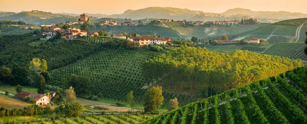 Alba le Langhe e le terre del Tartufo Bianco