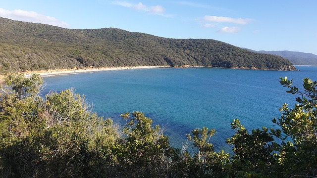 Le spiagge più belle della Maremma Toscana cala violina