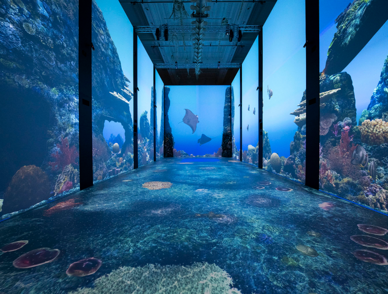 Il Museo Oceanografico