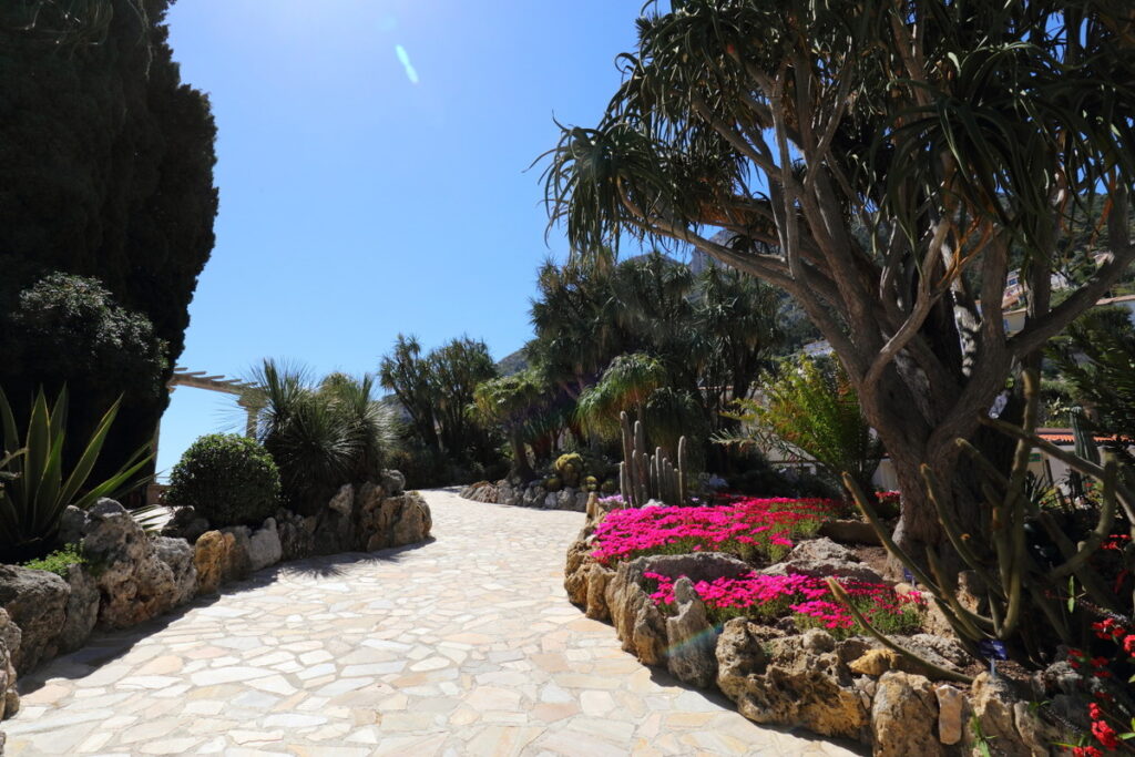 Jardin Exotique paysage