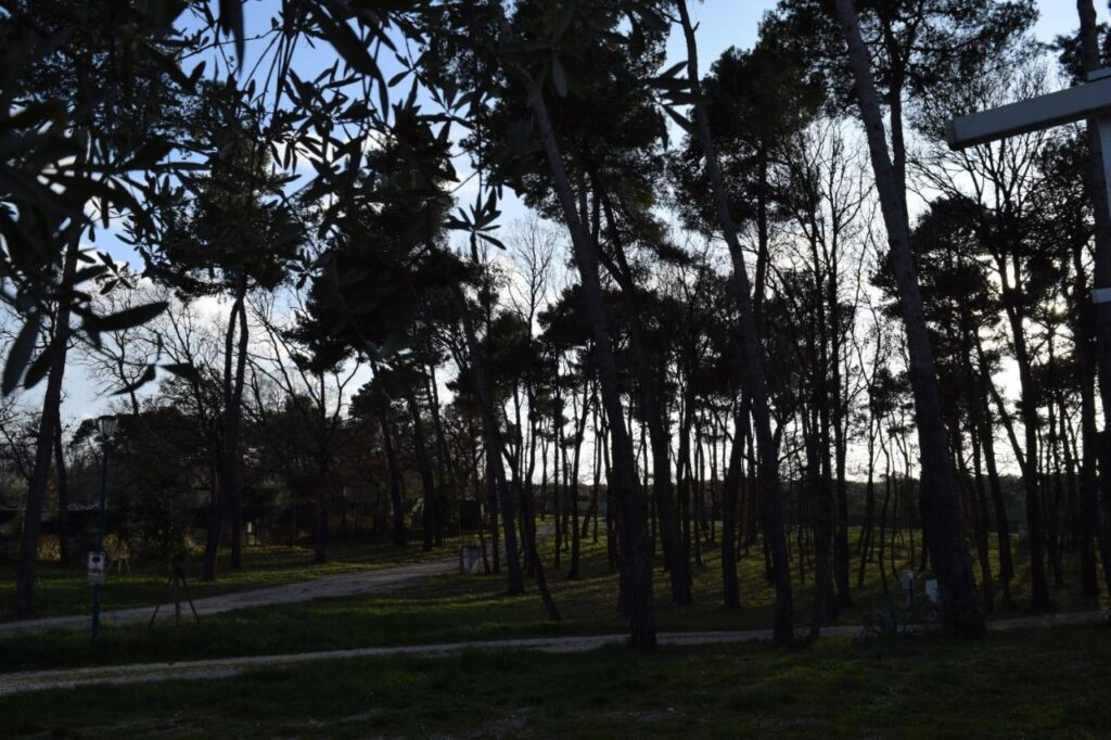 redisence bosco selva Alberobello