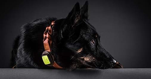 Cosa Mettere nello Zaino da Trekking: Guida Completa per un Avventura in Montagna gps