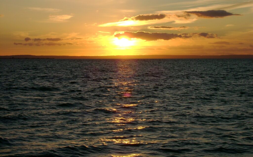 summer edition ferragosto