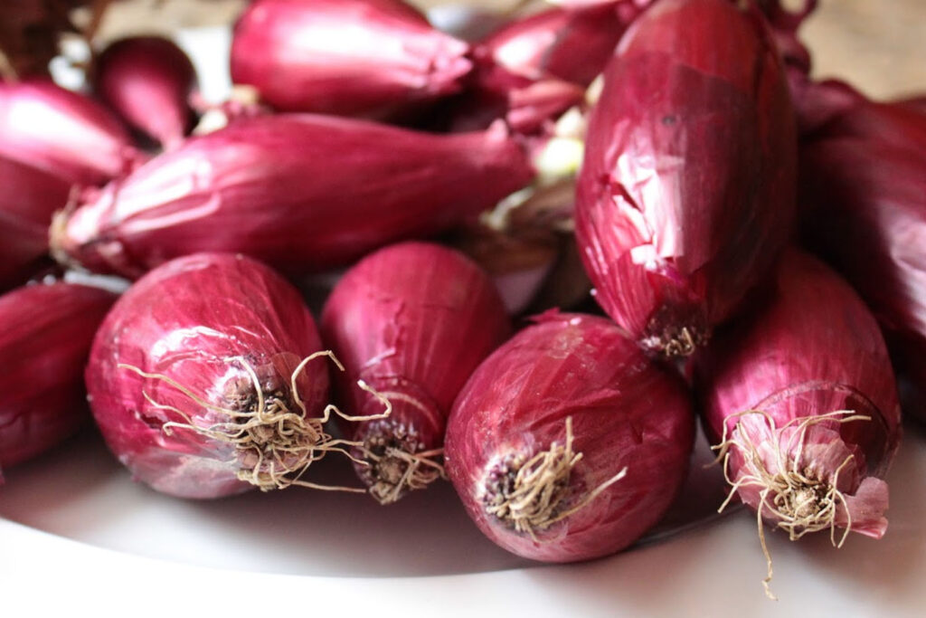 Cipolla Rossa di Tropea