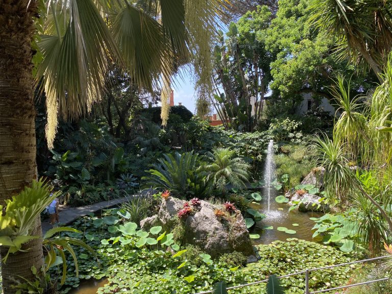 Giardini La Mortella Isola dIschia Napoli