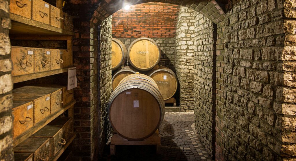 Colli Euganei in Veneto: percorsi di vino tra borghi medievali CTE COLLI EUGANEI