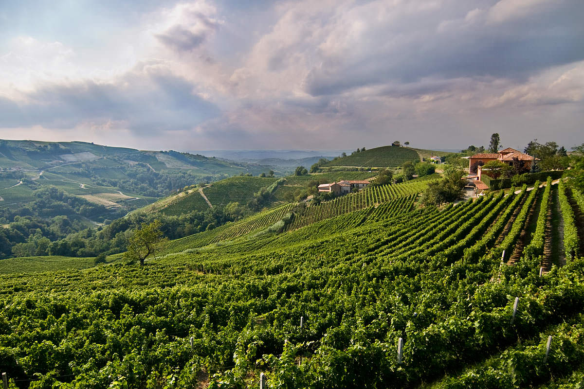 olprepòpavese vini doc