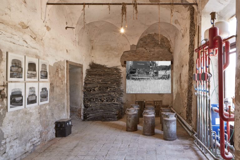 Museo della Merda Piacenza