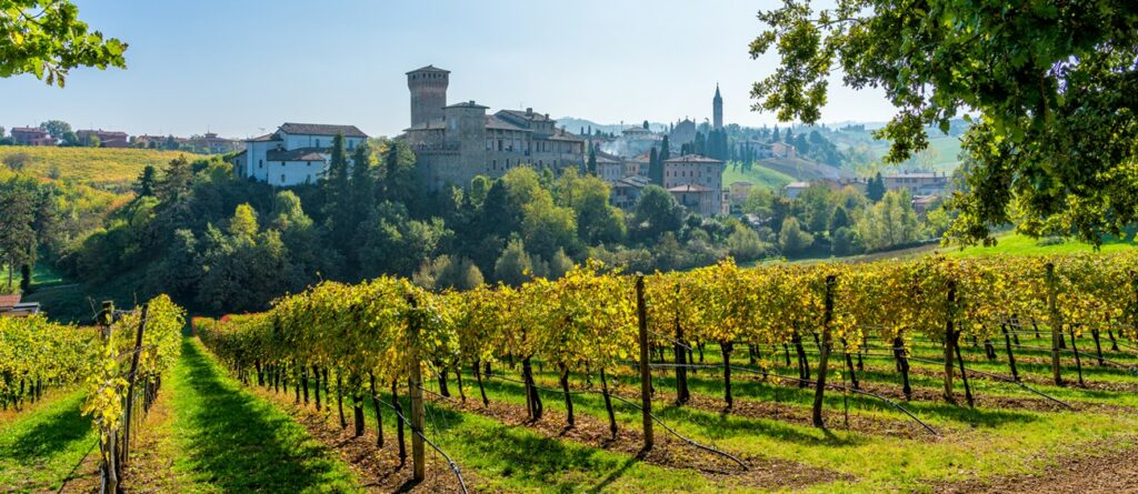Dove visitare i migliori vigneti in Italia questo autunno emilia romagna vigneti