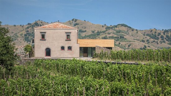 Dove visitare i migliori vigneti in Italia questo autunno il palmento della martinella