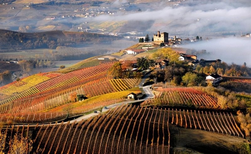 Dove visitare i migliori vigneti in Italia questo autunno langhe roero e monferrato