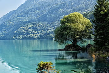 molveno trentino lake nature royalty free thumbnail