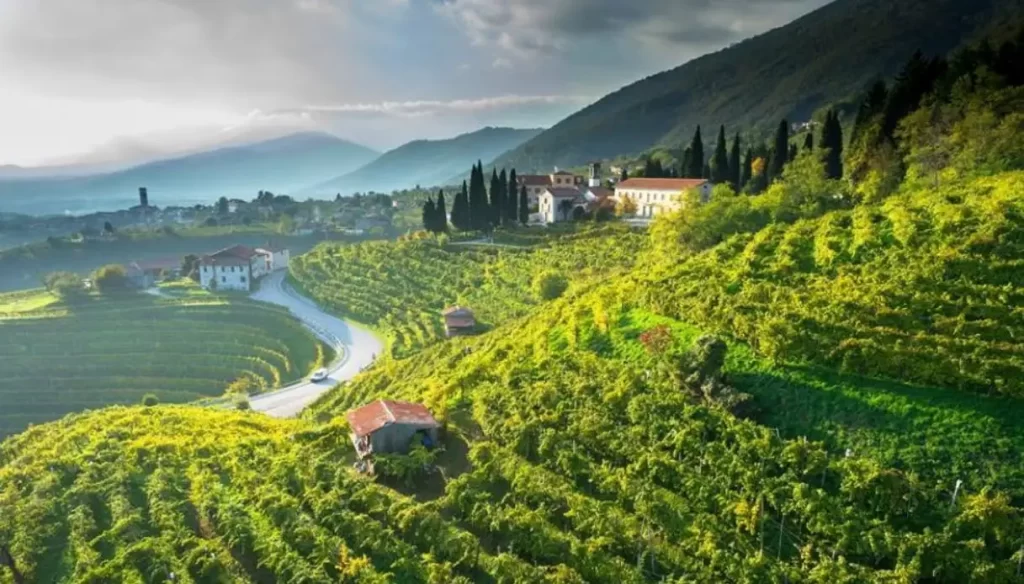 Dove visitare i migliori vigneti in Italia questo autunno strada del prosecco conegliano Valdobbiadene