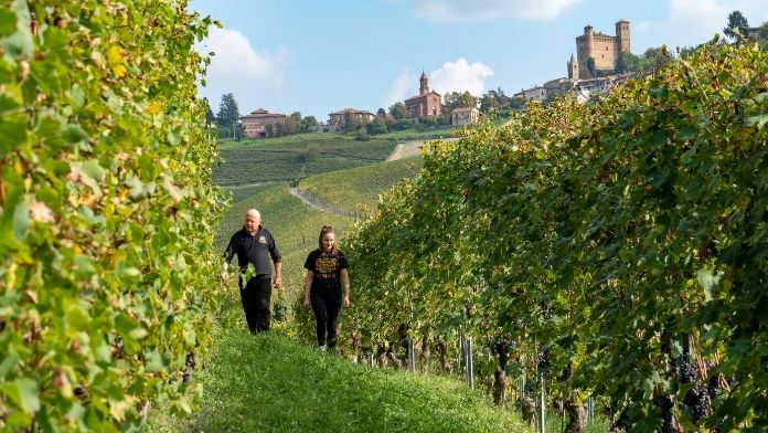 Dove visitare i migliori vigneti in Italia questo autunno vini sordo vigneti degustazione