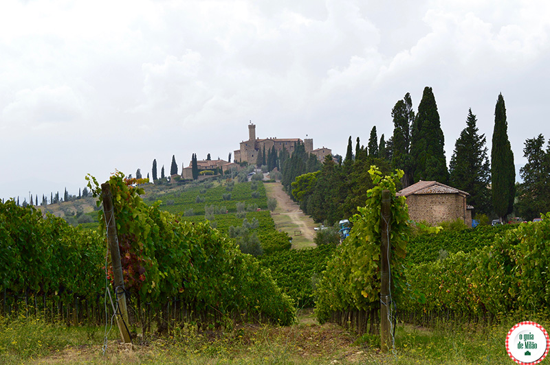 lugares para conhecer antes de morrer Um roteiro de vinhos na Toscana degustacao de vinho Italiano na Toscana O que ver na Toscana Turismo na Toscana