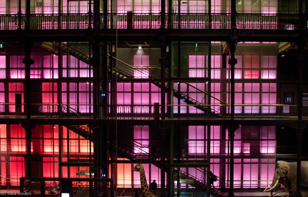 musei insoliti parigi x