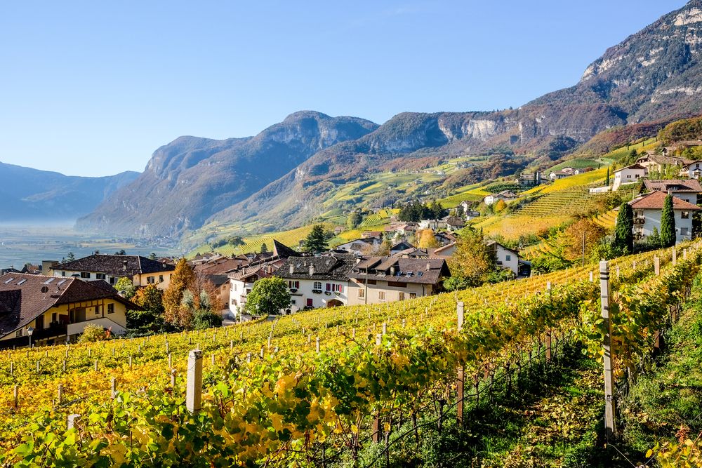 10 Vie del Vino: itinerari Enologici imperdibili in Italia Strada del Vino Colline del Ducato