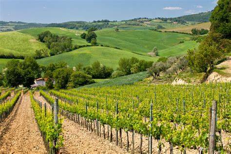 10 Vie del Vino: itinerari Enologici imperdibili in Italia VIA DEL VINO DI MONTEPULCIANO