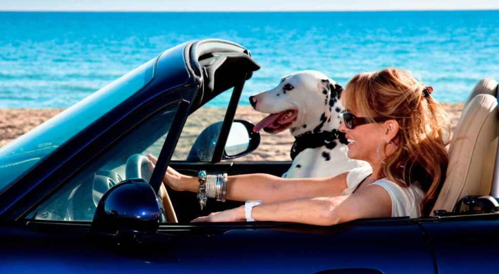 consigli viaggare con animali domestici